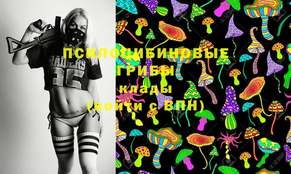 ешки Зеленодольск